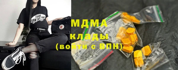 молекула духа Ладушкин