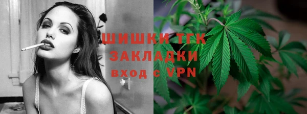 молекула духа Ладушкин