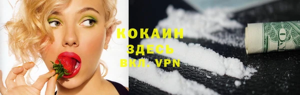 молекула духа Ладушкин