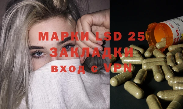 молекула духа Ладушкин