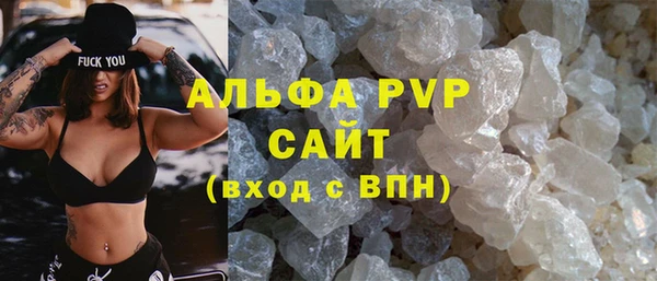молекула духа Ладушкин