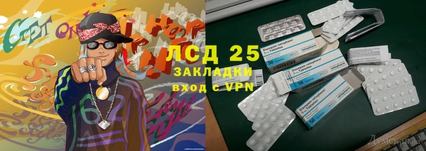 молекула духа Ладушкин