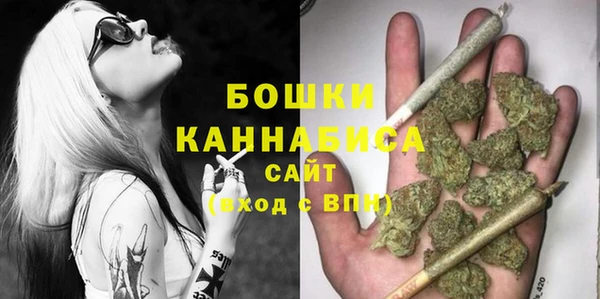 молекула духа Ладушкин