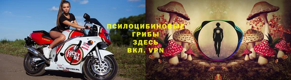молекула духа Ладушкин